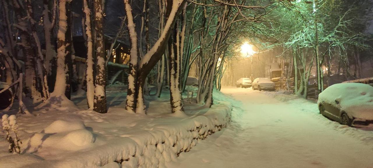 Buenavida Guesthouse Ushuaia Dış mekan fotoğraf