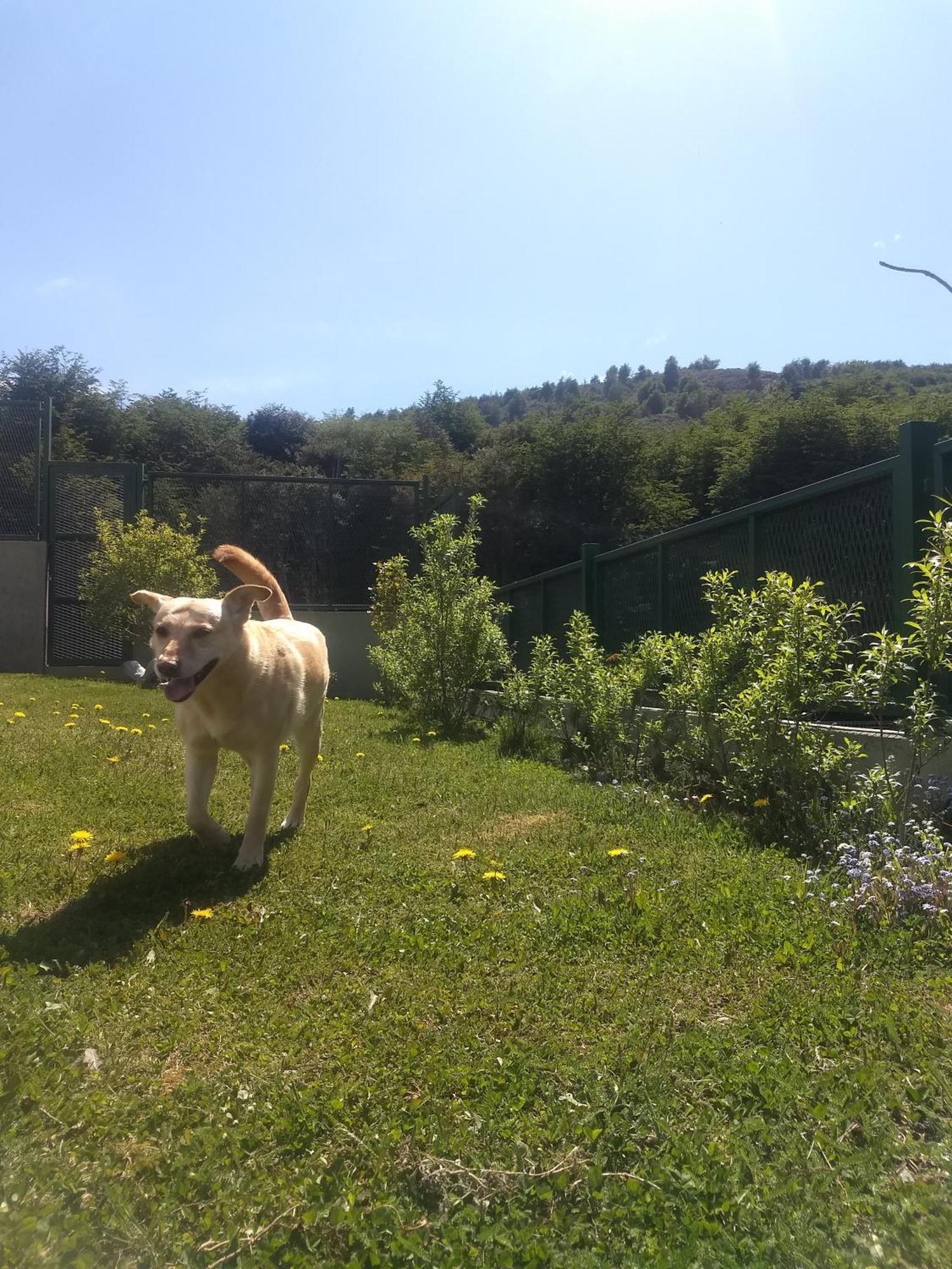 Buenavida Guesthouse Ushuaia Dış mekan fotoğraf