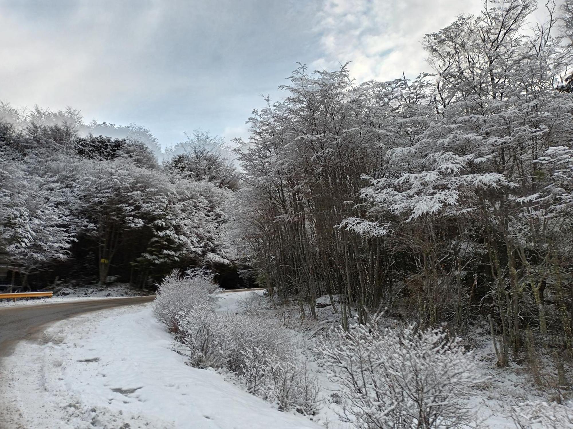 Buenavida Guesthouse Ushuaia Dış mekan fotoğraf