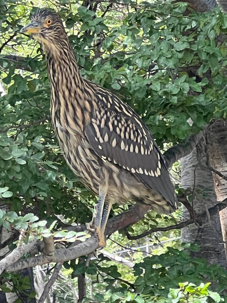 Buenavida Guesthouse Ushuaia Dış mekan fotoğraf